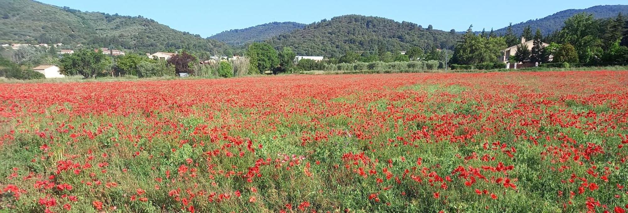 Gite La Mosaique Dauphin Buitenkant foto