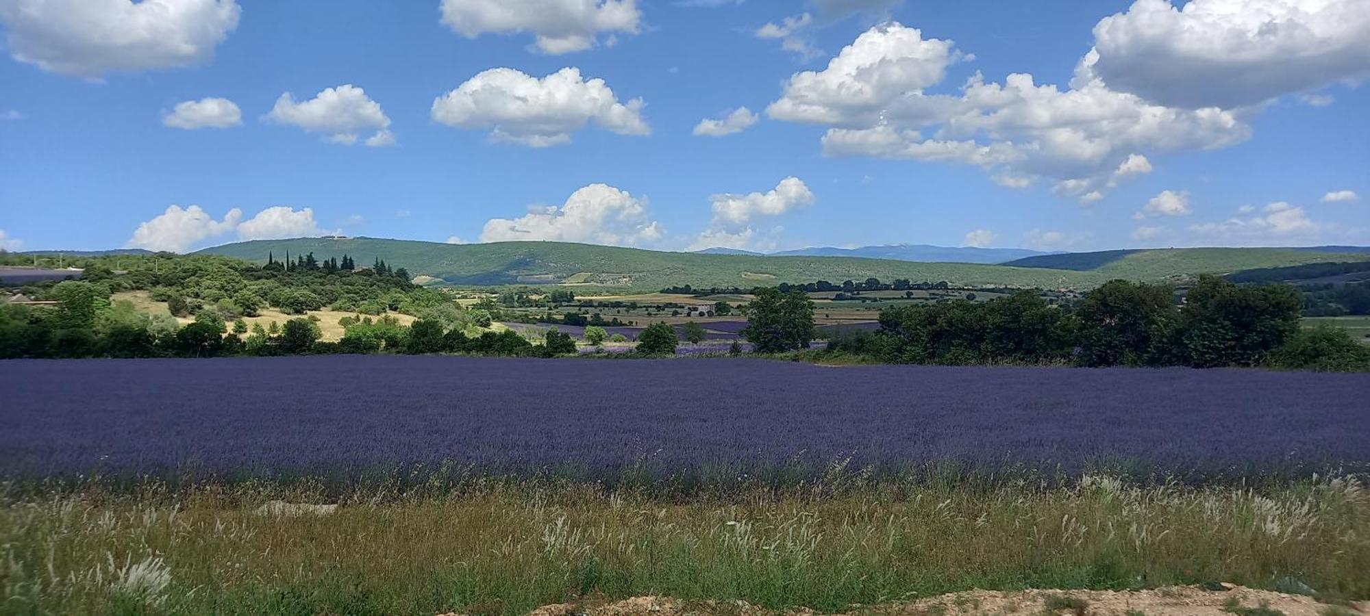 Gite La Mosaique Dauphin Buitenkant foto